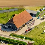 Bloemen Keet Op Boeren Campingplads