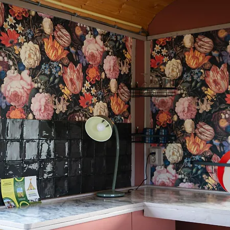 Bloemen Keet Op Boeren * Klundert