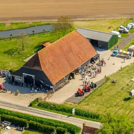 Bloemen Keet Op Boeren Campingplatz